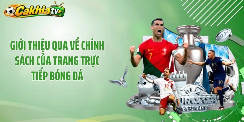Giới thiệu qua về chính sách của trang trực tiếp bóng đá
