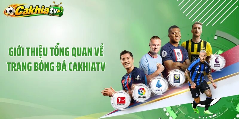 Giới thiệu tổng quan về trang bóng đá Cakhiatv