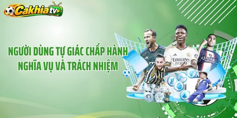 Người dùng tự giác chấp hành nghĩa vụ và trách nhiệm